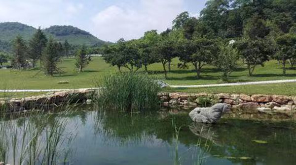 Ȫ�۷�����